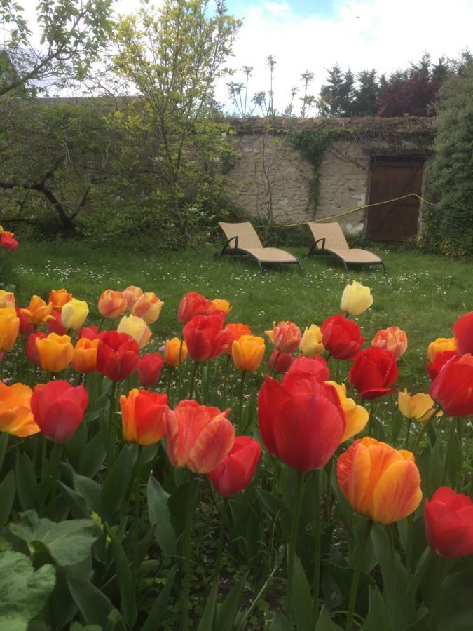 Le Clos Tilia Bed & Breakfast Cléry-Saint-André Exterior foto
